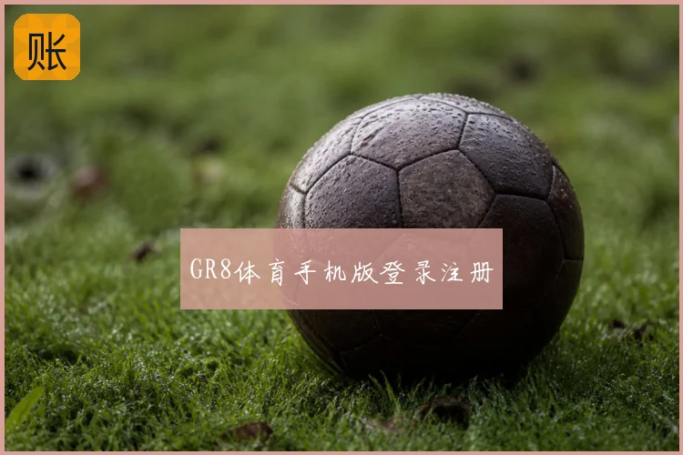 GR8体育手机版登录注册